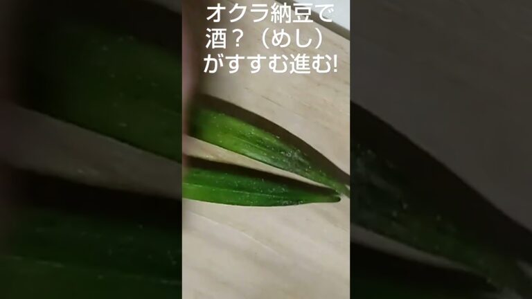 ネバネバオクラ納豆で酒？（めし）がすすむ進む!０１