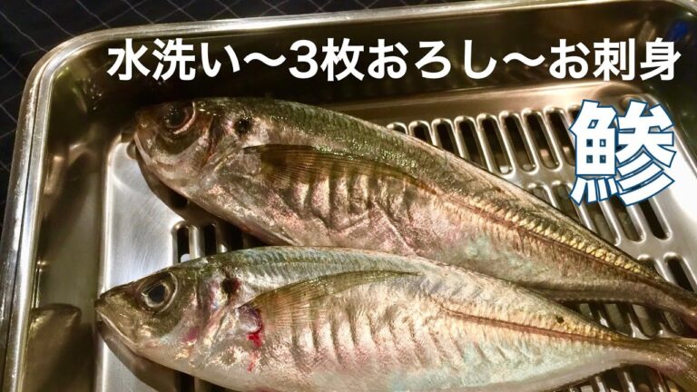 鯵を水洗いして3枚におろして、お刺身、細造り、なめろうの3品作ります