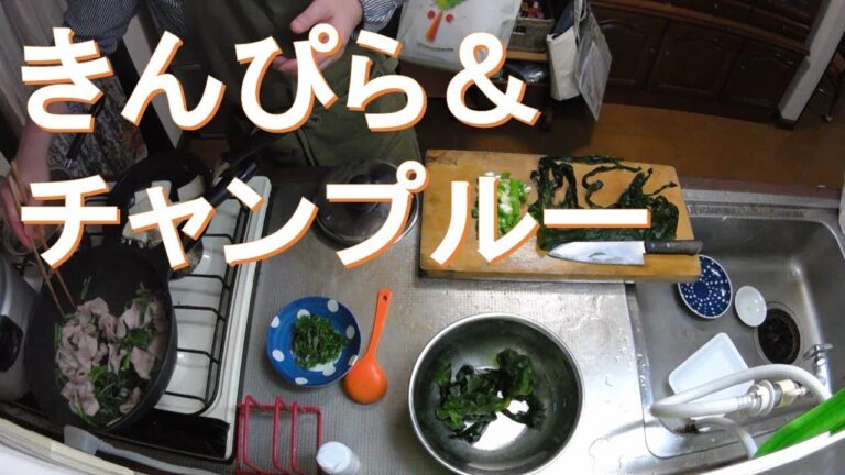 #011【キッチン俯瞰16倍速】夕食作り「レンコンのきんぴら」