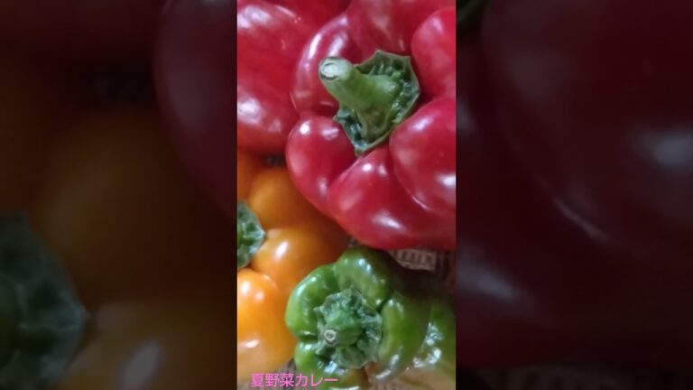 #夏野菜カレー#夏野菜#我が家のカレー