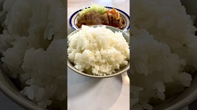コスパがいい！ガッツリニンニクでご飯が進むポークソテーが人気の老舗食堂【栃木県大田原市】れすとらん駒【栃木グルメ】#shorts