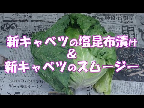 新キャベツの塩昆布＆スムージー『キャベツの外葉も芯も全て使いきります！！野菜不足解消』