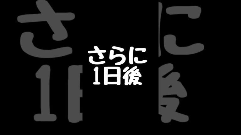 卵の黄身だけで作る激ウマまんまるおつまみ【ちゃんまるcookingood】
