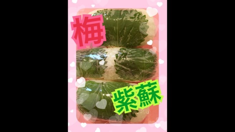 スティックおにぎり 梅紫蘇（≧∇≦）