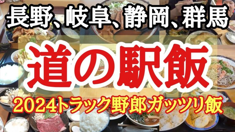 【道の駅飯】2024総集編。長野、岐阜、静岡、群馬。トラック野郎のガッツリ飯まとめ【長距離トラック】【Japanese food】