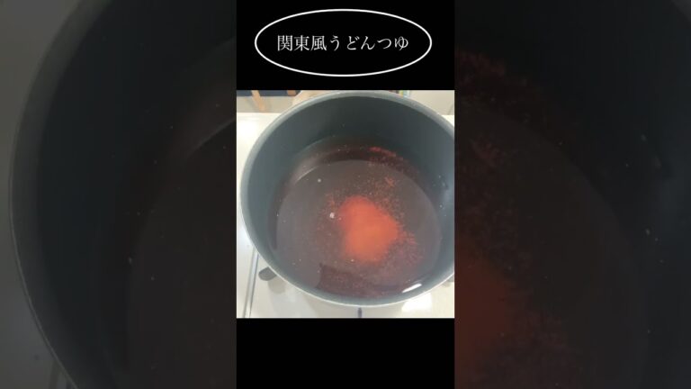 【関東風】うどんかけつゆ🐟　大人2人分位