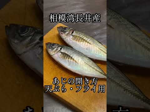 アジの開き方〜天ぷら・フライ用〜