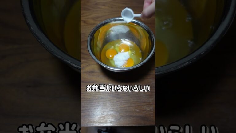 お疲れな金曜は簡単鶏ごぼうの甘辛焼き弁当#day134