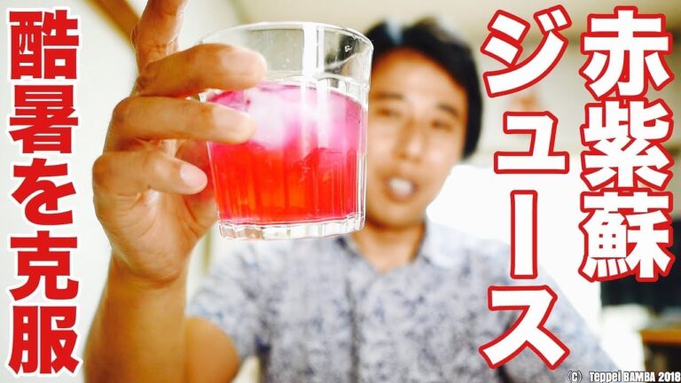 濃縮あかしそジュースレシピ 夏バテ防止・疲労回復・貧血予防に！