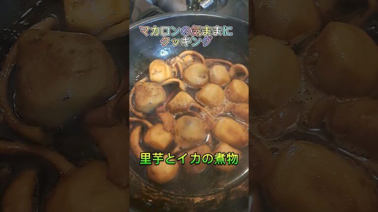 照りがうまうまイカと里芋の煮物