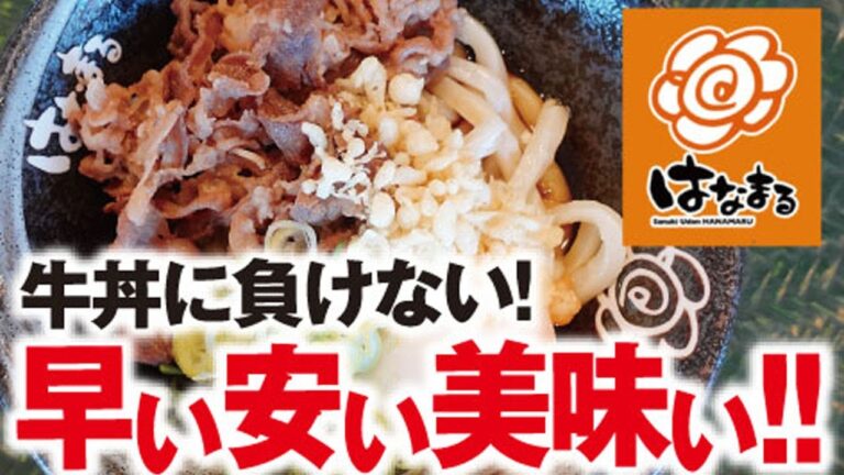 牛肉温玉ぶっかけ【はなまるうどん】静岡市清水区ベイドリーム清水内 udon
