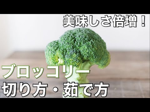 【ブロッコリーの茹で方・切り方】知っているようで意外に知られていないブロッコリーの下ごしらえの基本知識！