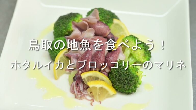 鳥取の地魚を食べよう！「ホタルイカとブロッコリーのマリネ」
