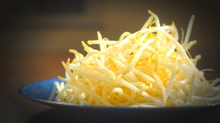 【もやし レシピ 】1袋使い切り！ 安い！旨い！メインおかずに大変身！