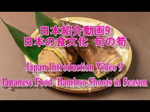 日本紹介動画9 日本の食文化 旬の筍｜Japan Introduction Video 9 Japanese Food  Bamboo Shoots in Season.