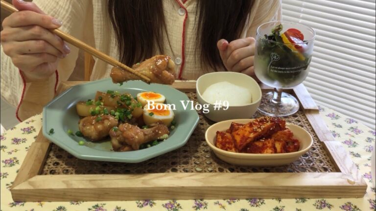 【Vlog】#9 手羽元と大根の煮込みを作ってほっこりする日｜プルコギ、スパムキンパを作るvlog🇰🇷｜一人暮らしvlog｜自炊記録｜食事記録