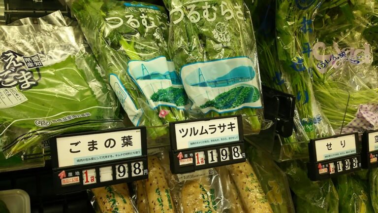 9/21（土）ツルムラサキのご紹介!!　犬山市 スーパー