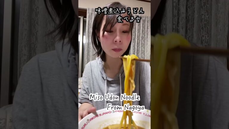 味噌煮込みうどんおいしい