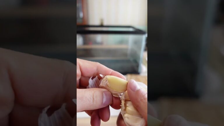 小松菜の激痩せスープ