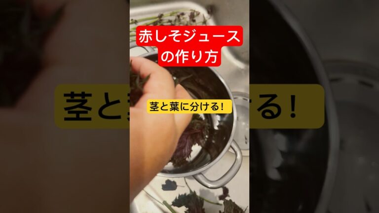 #簡単料理#shorts #赤しそジュース#夏#作ってみた