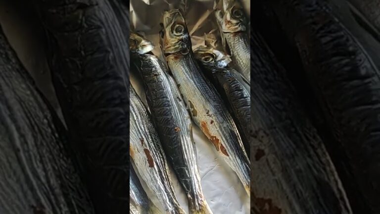 【うるめイワシで、大盛ごはんだ】
