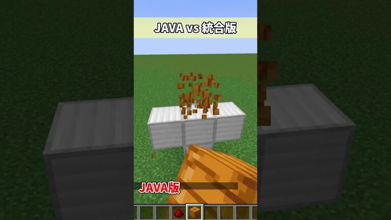 【検証】どっちが便利？Java版と統合版の違い【マイクラ】#shorts