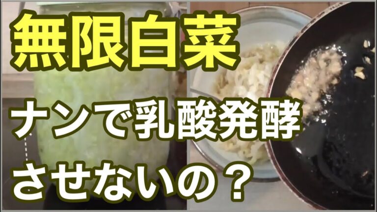 「塩もみ白菜」の乳酸発酵を甘酢とごま油で味付け（ラーパーツァイ)　ベテラン調理師の発酵チャレンジ