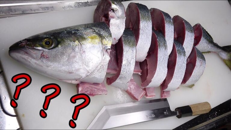 釣れたてのブリをぶった切って作る料理を紹介します！こちらになります。どうぞ