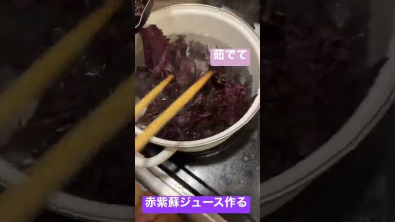 赤紫蘇ジュースつくった【旬やん】