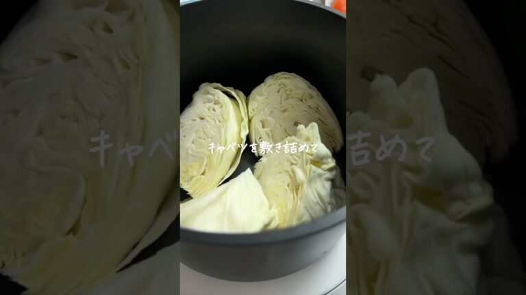 野菜ゴロゴロで大満足だよ🥰#ダイエット #ダイエットレシピ #ヘルシーレシピ #レシピ #ポトフ #スープ