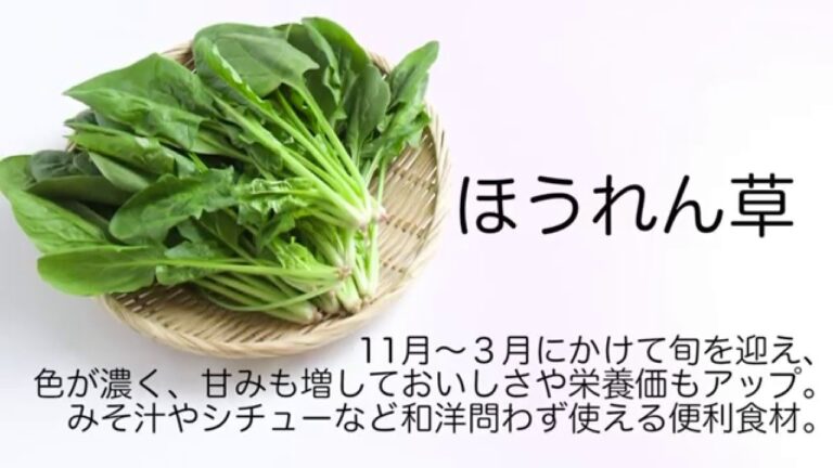 ほうれん草下ごしらえ