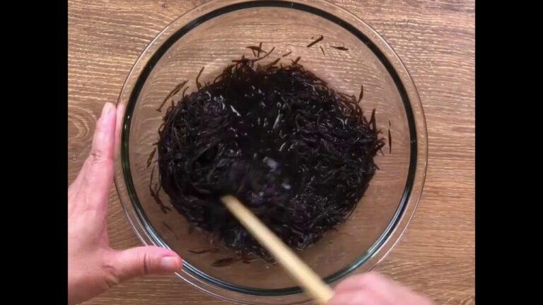 【おやさい350】長ひじきの戻して酢に漬けるだけ