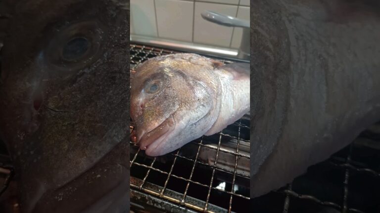 【炙りや】「真鯛の兜」を網焼きして日本酒をキメる債務者