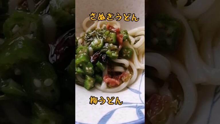 さぬきうどん/梅うどん/日本の家庭料理/shorts
