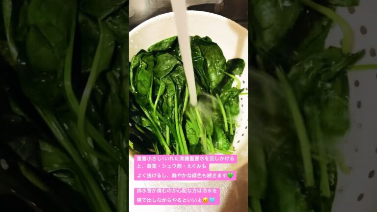 ほうれん草の1番簡単な下茹で方法　【熱湯をまわしかけて冷水でしめる】【シュウ酸が抜けるから美味しい】How my mom parboil Spinatch without over boiling🥬