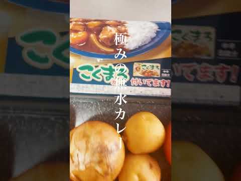 極みの無水カレー #shorts