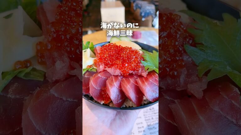 イクラまぐろ丼とそでいか刺し海鮮ランチ