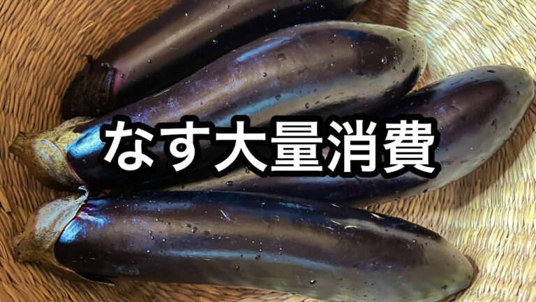簡単なす料理６品！どれも旨いっ！トロトロチーズが最高｜激ウマなすの豚バラ巻き｜さっぱり茄子のナムル｜レンジで簡単！なす大量消費