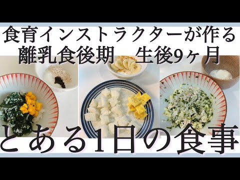 【離乳食後期】生後9か月とある1日の食事！食育インストラクターママ考案ごはん！