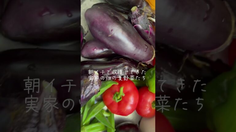 自家製夏野菜チキンカレー　#料理 #料理動画 #short #shorts #カレーライス #夏野菜カレー #夏野菜レシピ