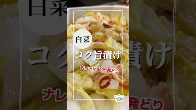 【白菜大量消費】噛みまくりの神レシピ紹介！？【毎日レシピ】