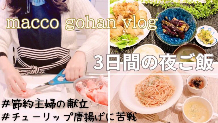 【主婦料理vlog】チューリップ唐揚げに大苦戦の主婦の３日間夜ご飯｜簡単美味しい献立 vol.60