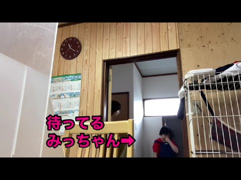 今日もあんまり機嫌よくありませんでした。