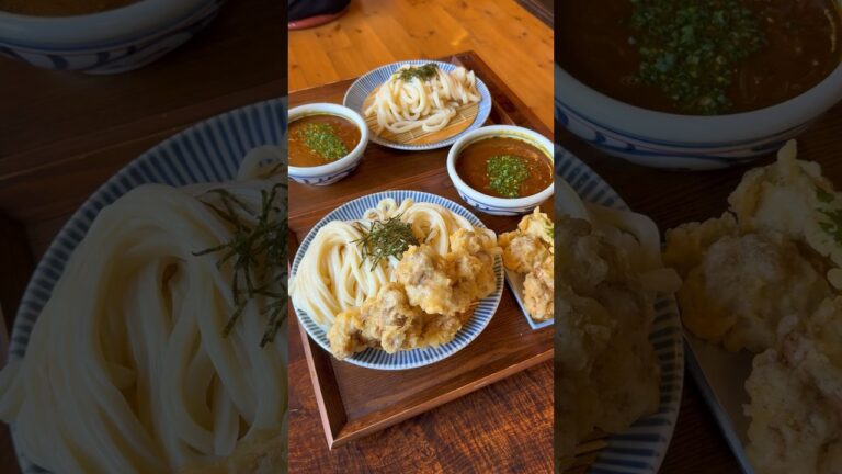 愛知で1番美味しい夏に食べたい天ざるカレーうどん🍜🍛【愛知 鈴家】