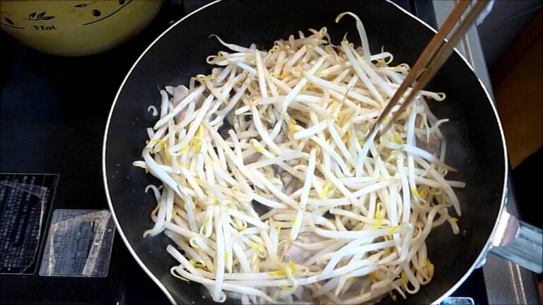 【レシピ】もやしと豚肉の塩こしょうゆ炒め　How to make the bean sprouts and pork fried