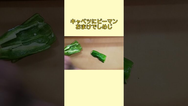 豚バラとキャベツの【おうちで簡単中華】甜麺醤でうま味UP!《回鍋肉》  #shorts