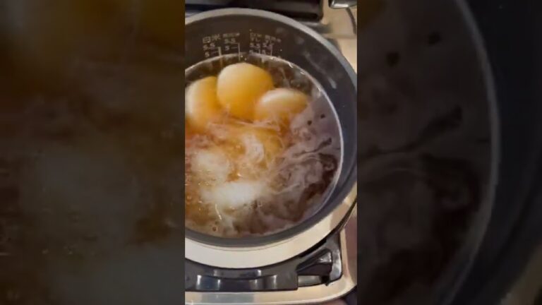 炊飯器バック生活48日目【炊飯器おでん】