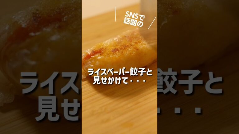 【SNSで話題】のライスペーパー餃子を超えた一品!!
