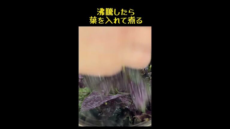 すっきり爽やか【赤紫蘇ジュース】レモンと氷砂糖で！甘さ控えめ✨#shorts #料理#シソ