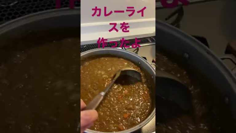 【料理】ひき肉でカレーライスを作りました。煮込む時間が短縮できてとっても助かりました。キーマカレー